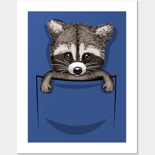 Pocket Racoon Posters and Art